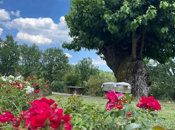 La Bianchina Monale
